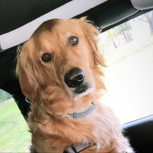 Meet your Posher, Abigail